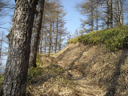 いつもと違うルートで雲取山(単独日帰り)　09/05/09