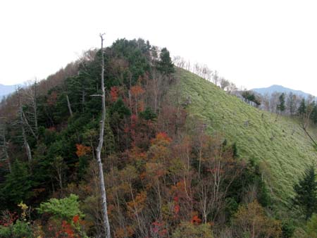 和名倉山(単独日帰り)　10/10/16