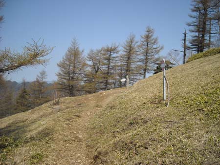 いつもと違うルートで雲取山(単独日帰り)　09/05/09