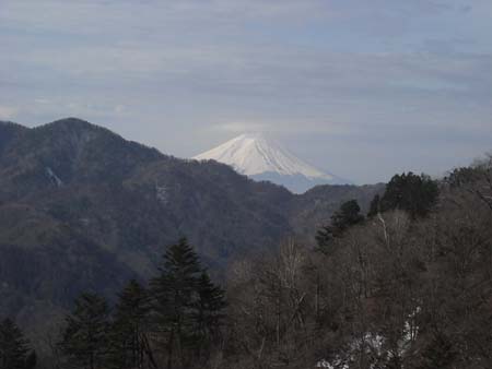 黒川鶏冠山＆大菩薩嶺(単独日帰り)　09/04/04