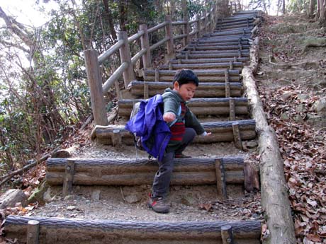 長男＆次男と城山湖から草戸山　10/01/31