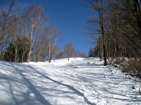 恋しい雪景色。