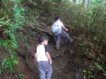 長男＆次男と伊豆ヶ岳　10/08/14
