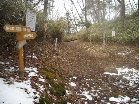 黒川鶏冠山＆大菩薩嶺(単独日帰り)　09/04/04