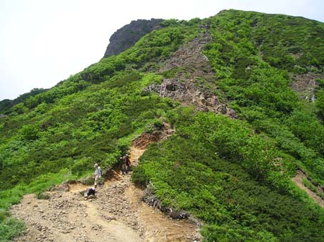 南八ヶ岳縦走(単独日帰り)　08/07/19