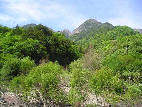 鋸岳(単独日帰り)　08/06/14