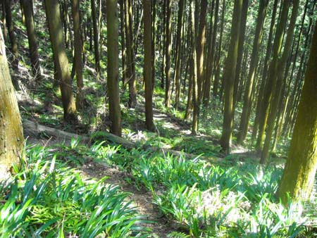 長男の山、、、七回戦(天覚山)　09/03/29