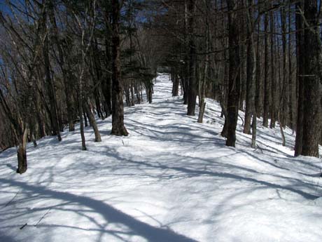 恋しい雪景色。