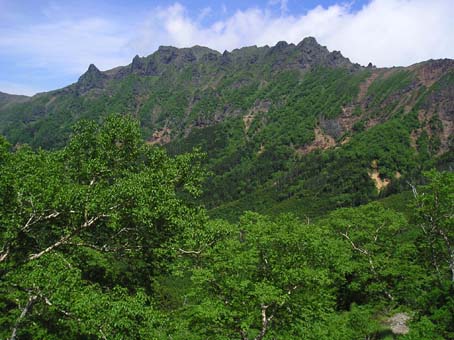 南八ヶ岳縦走(単独日帰り)　08/07/19