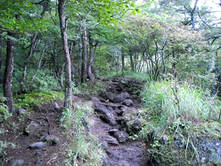 編笠山、権現岳(単独日帰り)　09/09/13