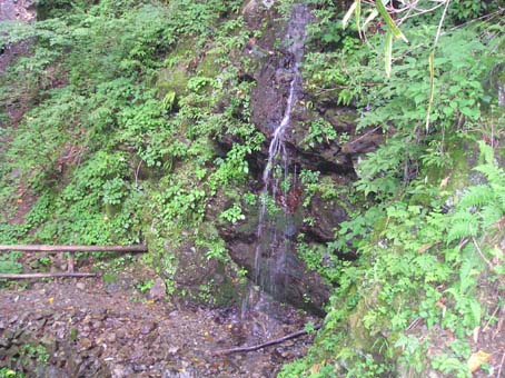 雲取山(単独日帰り)　08/09/06