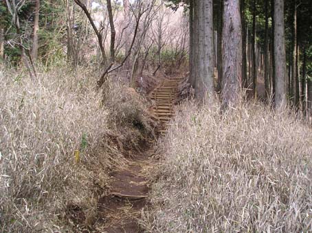 大山(単独日帰り)　07/03/24