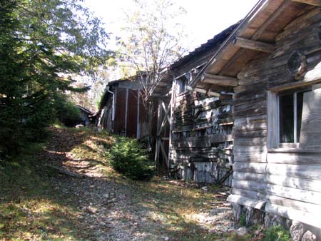 天祖山、長沢山、雲取山(単独日帰り)　10/10/11