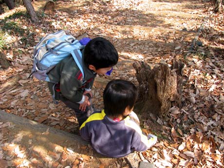 長男＆次男と城山湖から草戸山　10/01/31