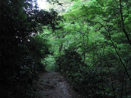 小仏城山 子連れ合同ハイキング　10/05/16
