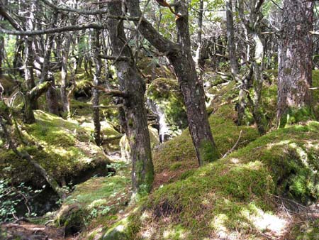 編笠山、権現岳(単独日帰り)　09/09/13