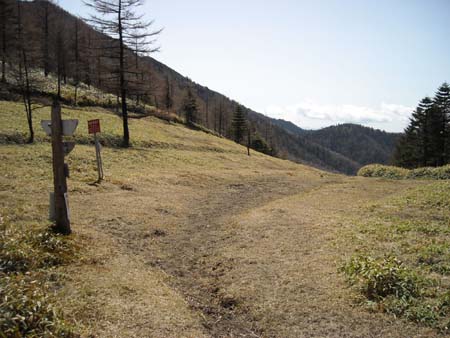 唐松尾山、将監峠(単独日帰り)　09/04/26