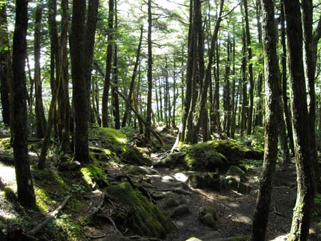 編笠山、権現岳(単独日帰り)　09/09/13
