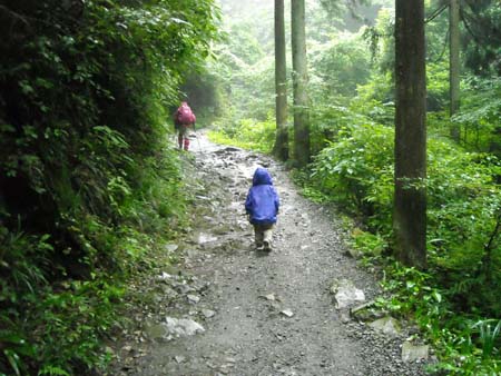 雨好きな長男の山、、、十一回戦(高尾山)　09/08/02