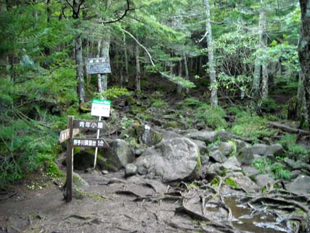 編笠山、権現岳(単独日帰り)　09/09/13