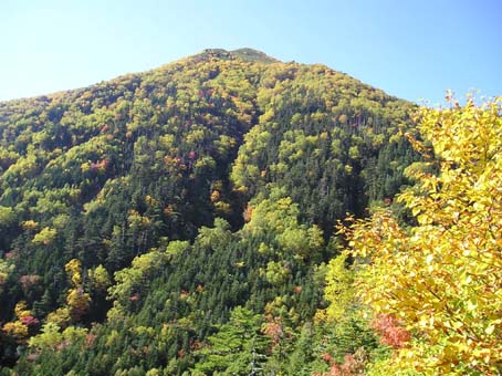 鳳凰山 地蔵＆観音岳(単独日帰り)　08/10/04