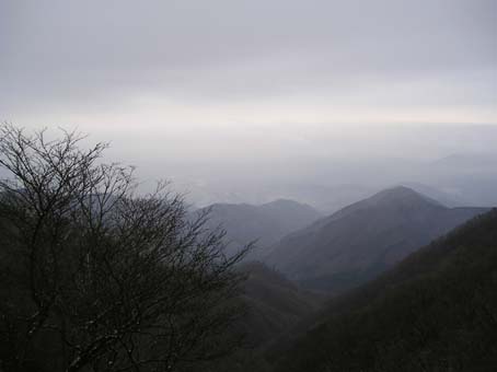 鍋割山、塔ノ岳(単独日帰り)　07/01/20