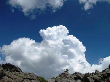 夏の雲。