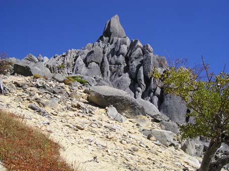 鳳凰山 地蔵＆観音岳(単独日帰り)　08/10/04