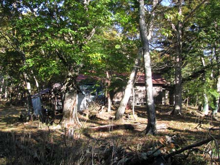 天祖山、長沢山、雲取山(単独日帰り)　10/10/11