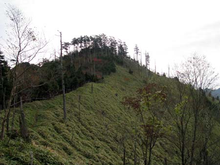和名倉山(単独日帰り)　10/10/16