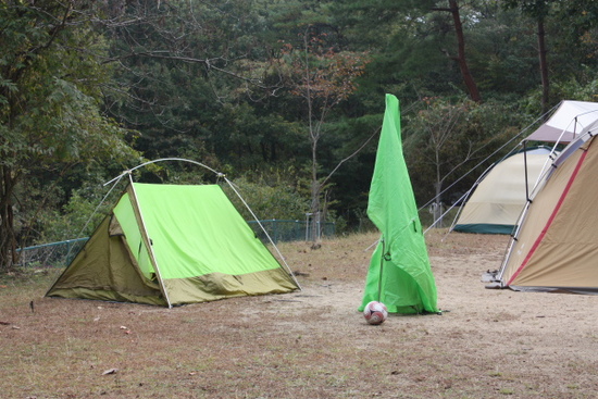 久しぶりのお山