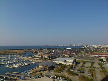花見日よりですね～