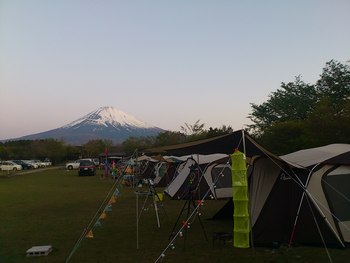 やまぼうしの朝