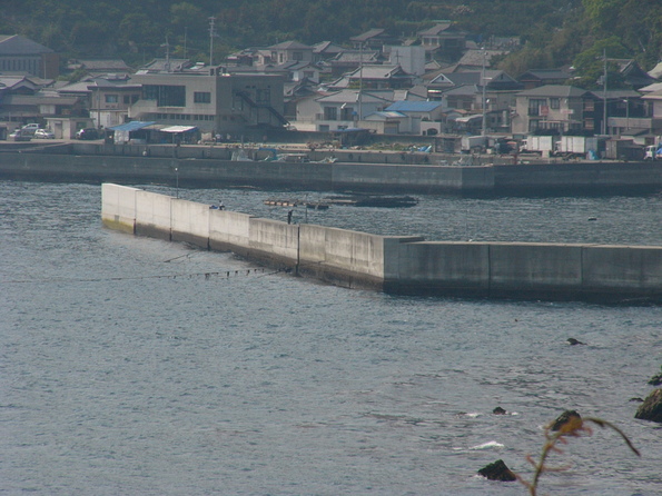 西予市明浜へエギングに　6　釣れました田之浜で