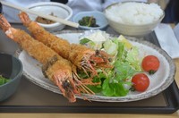茨城２日目