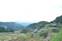 ①　42.195km