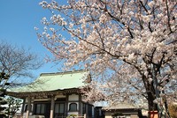 この時期のお約束