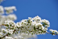 この時期のお約束