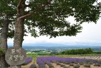 ⑧2012 夏 北海道