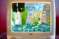 Macquarium