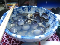 ２　北海道2011