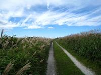 ３　北海道2011