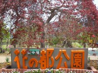 とりあえず富士山