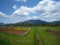 とりあえず富士山