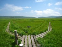 総括 2012 夏 北海道