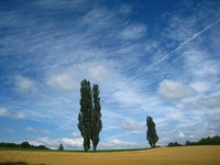 総括 2012 夏 北海道