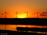 総括 2013 秋 北海道