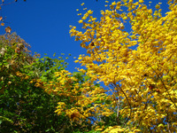 北海道９月ツー紅葉編