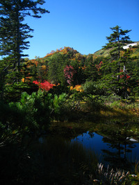 北海道９月ツー紅葉編