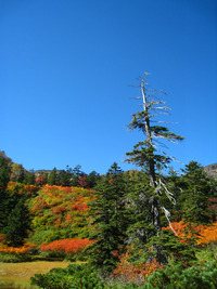 北海道９月ツー紅葉編